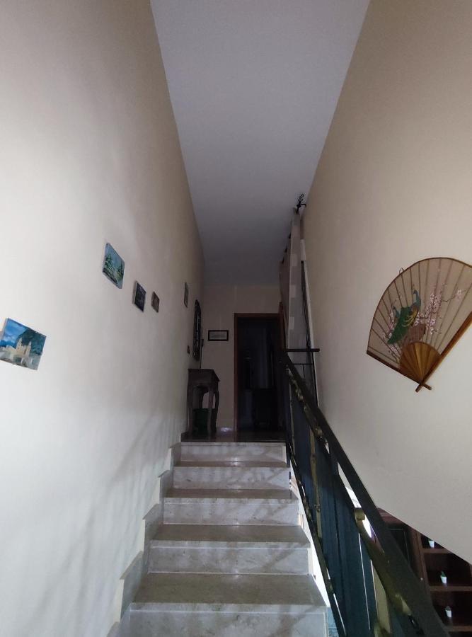 Villa Grazia 2022 Cefalù Εξωτερικό φωτογραφία
